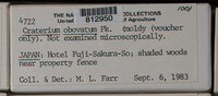 Image Associated With the Occurence